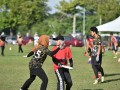 Tn dsc 0461